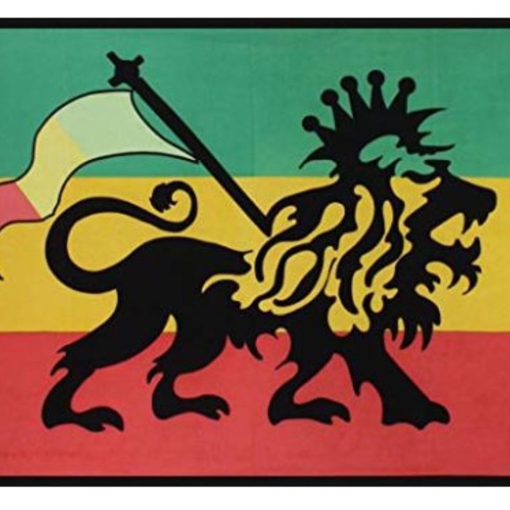 Swim Cover-up Rasta Lion Tapestry 60x90 Inches NWT